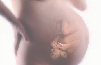 胎儿|高智商的胎儿，孕期可能跟别人“不一样”看完孕妈偷着乐