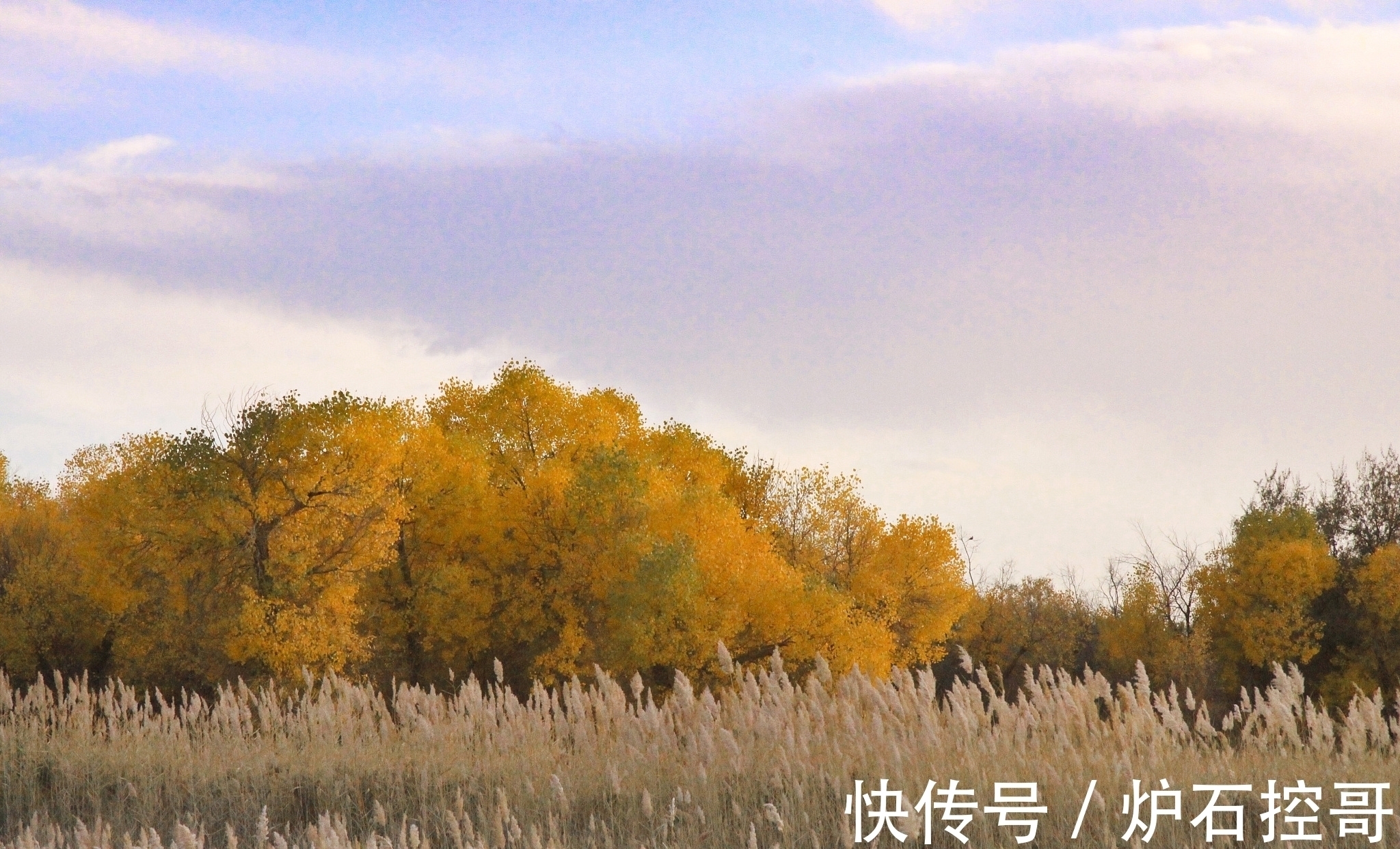 词人$诗词丨宋词的秋,惊艳四季:澄江似练,翠峰如簇,归帆去棹残阳里