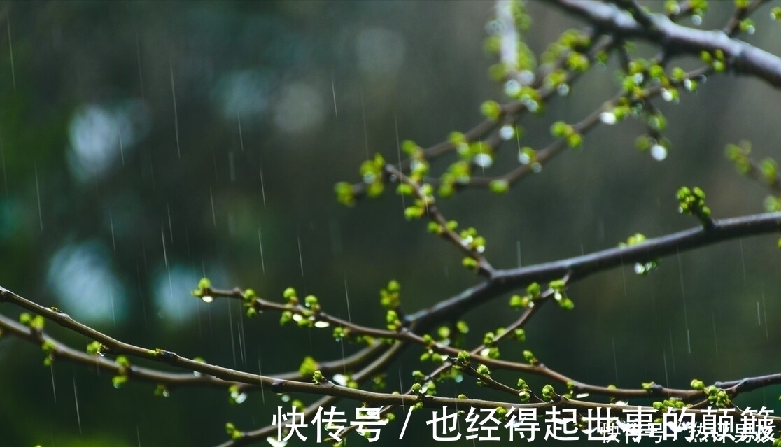 幽默|杨万里在小雨中写的一首诗,幽默风趣,把自然之美写得无以伦比