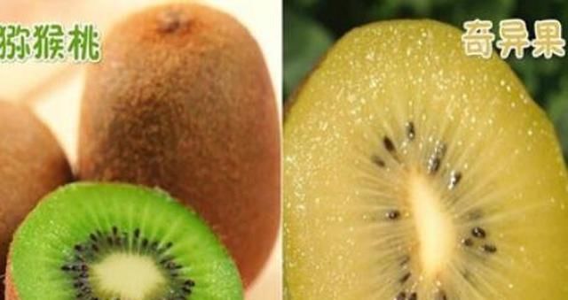 这些“双胞胎”水果长得像却贵贱分明,同果不同命,你分得清吗