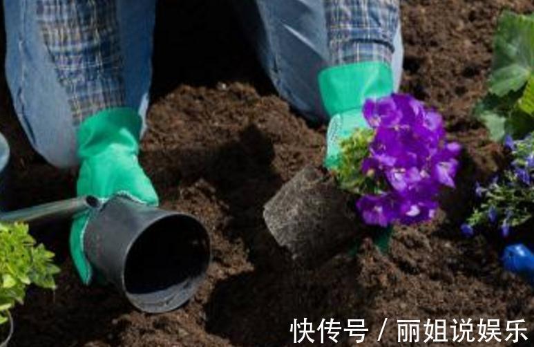 盆栽花卉什么时候换盆好，盆栽花卉换盆有哪些注意事项
