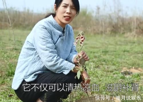 农村一种滋养肝肾的药材，妹子挖出根部直接吃，味道清甜如萝卜