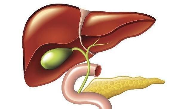 肝脏|枸杞配“一物”泡水，坚持喝3天，肾补满了，肝也变“干净”