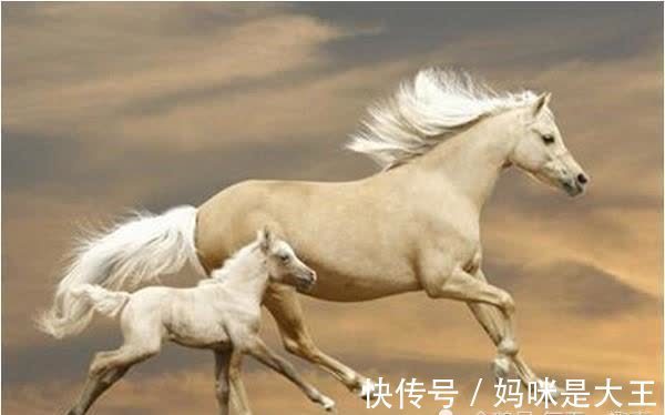 财气|“大金马”未来十年财气大爆发,尤其是66、78年的,45岁后靠谁?