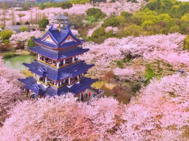 春暖花开之际，想去这些颜值爆表的地方走走