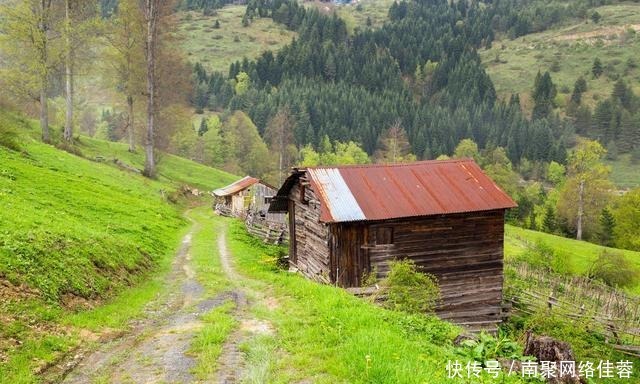 谁解|陈毅写了绝笔诗《梅岭三章》,没曾想解围了,谁解的围你知道吗?