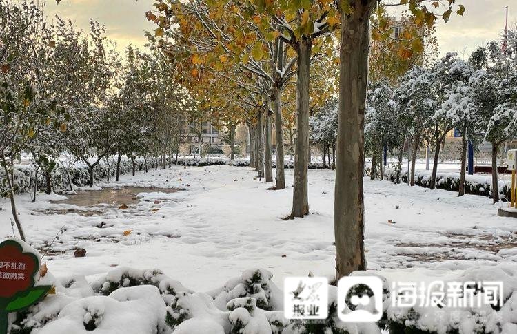 梁慧|扫雪护安全 聊城东昌实验小学开展扫雪除冰活动