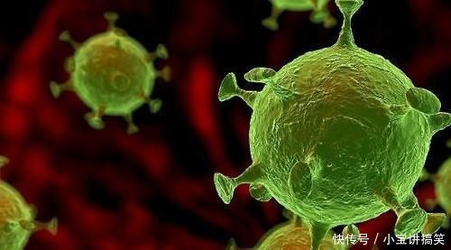 鞣酸蛋白|转告家人吃完鸡蛋后,尽量少碰一物,以免细胞不安分