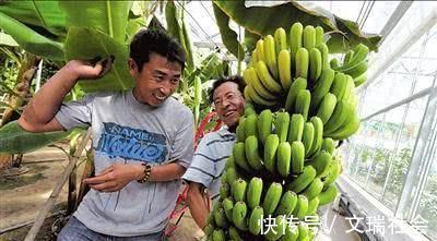 芬芳类|失眠的“救星”出现了,睡前吃一点,安神缓疲劳,助你倒床就睡!