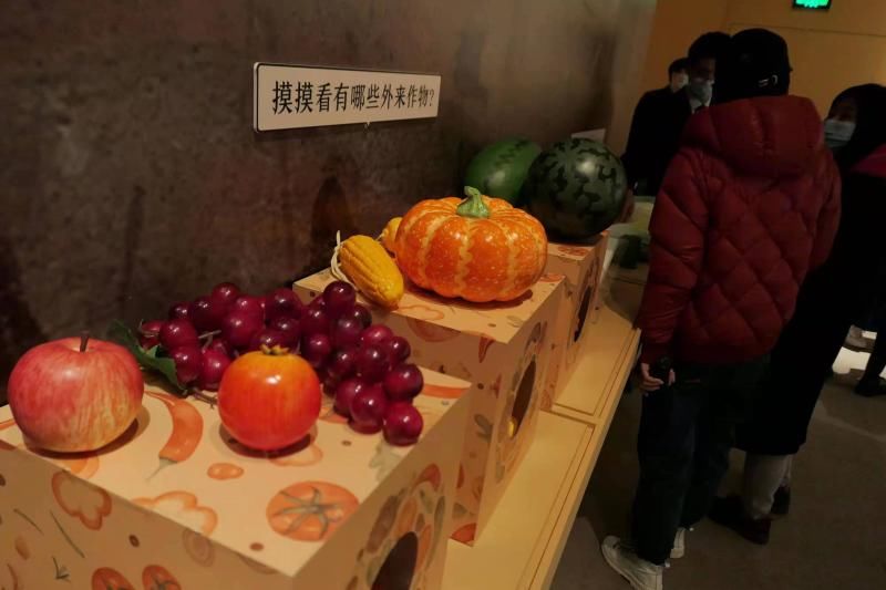 魏彤&充满人间烟火气 国博举办“中国古代饮食文化展”