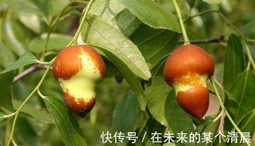 排毒|女性过了30岁,推荐3种食物,排毒清肠,刮油消脂,消除小赘肉