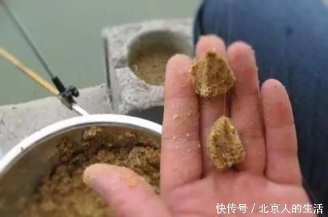 土豆粉|蚯蚓钓鱼已成过去，老渔翁教你只要2个蛋，半天就能钓90斤