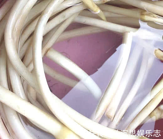 老少皆宜|此物堪称“穷人的阿胶”,6月正当季,养生别再错过