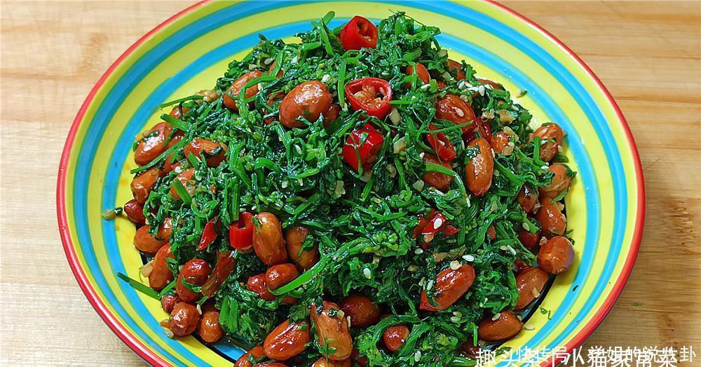 野豌豆苗能不能吃