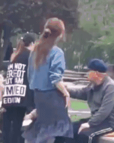 |搞笑GIF趣图:这马蜂真狠,连狗都不放过