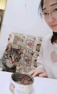 |搞笑GIF段子:非常精彩的一个乌龙球