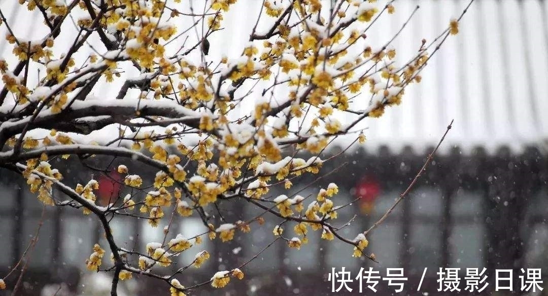 梁尘飞&冬日时光诗六首,昼短苦夜长,何不秉烛游,古人在寒夜里做什么?