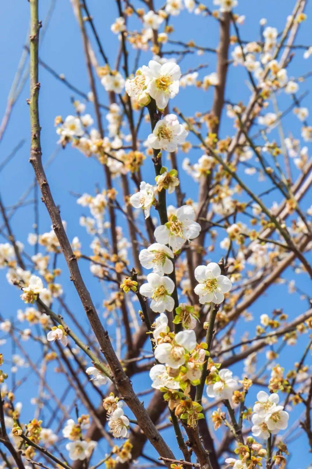 地方|生活了20多年才知道，广州地铁能到这么多地方！