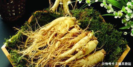 它被称为“百草之王”,大补元气还安神益智食用时要注意这些