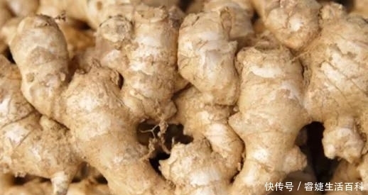 农村一种“土疙瘩”植物,不用担心滞销问题,如今价格还在上涨!