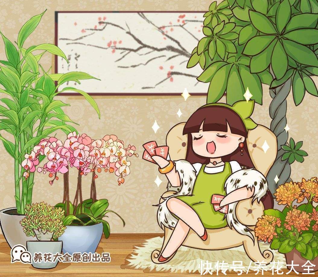 花市老板的养花绝招，今天全给你，一学一个准