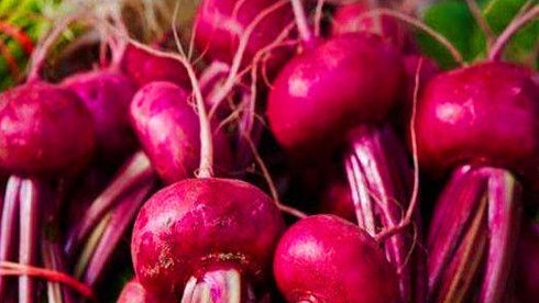 蓝莓|中年人不妨常吃的食物,养肝排毒,润肤养颜,肌肤更细嫩