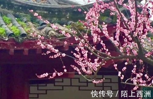 李邕!落选《唐诗三百首》最著名的20首诗,清明、赠汪伦、鸟鸣涧在其中