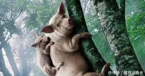 李世民|唐太宗李世民问袁天罡我大唐什么时候灭亡袁天罡猪上树,唐朝亡