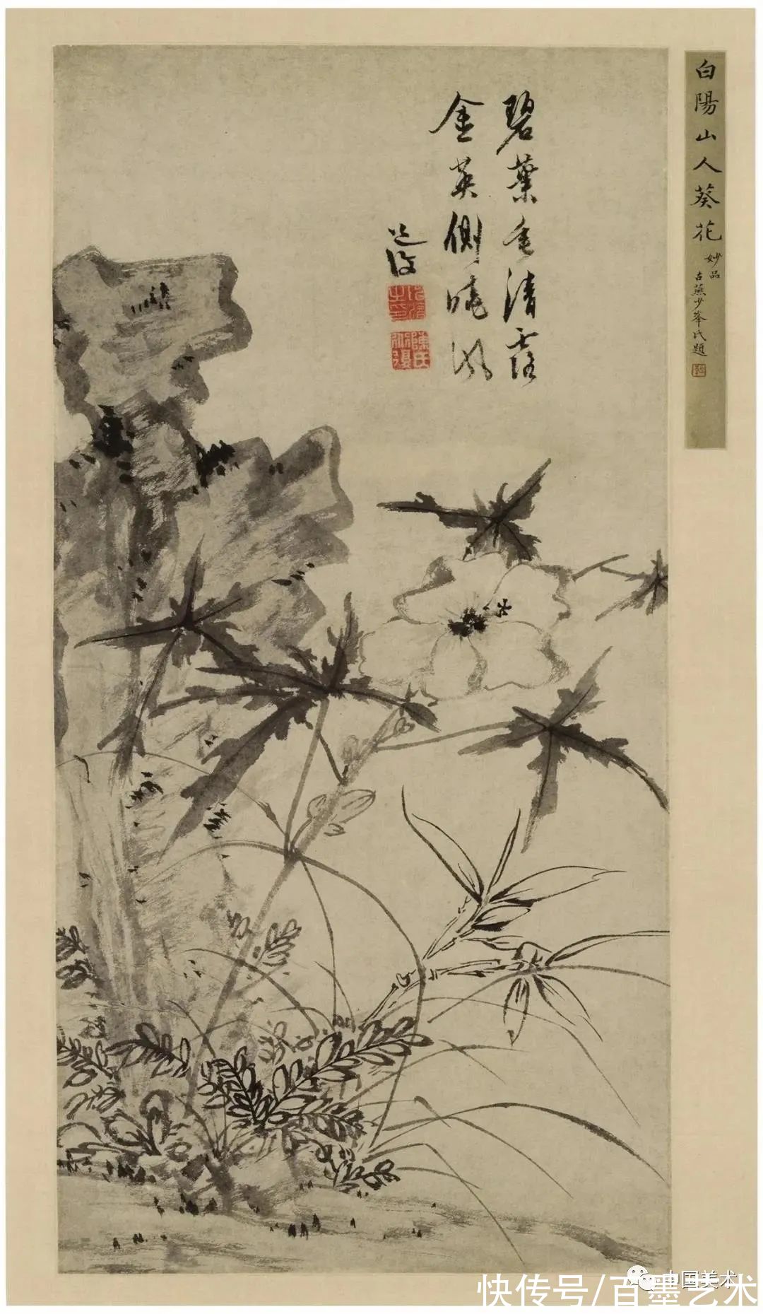 明朝@青藤白阳：明朝花鸟两大高峰