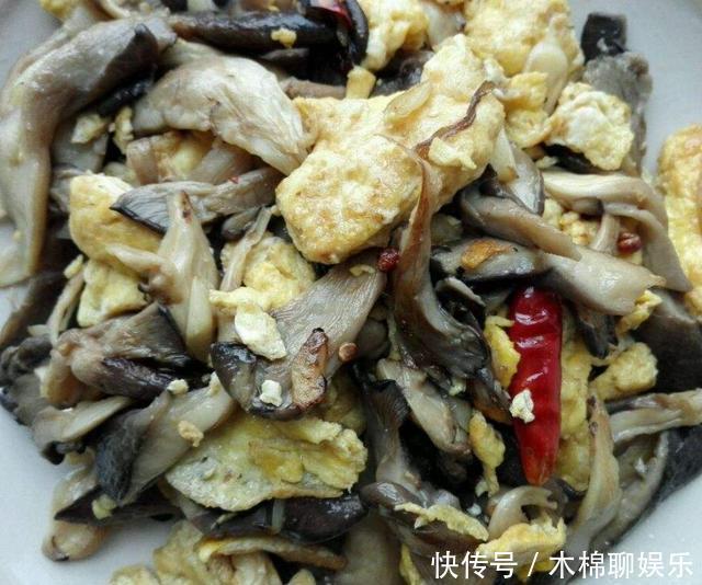 鸡蛋液|这菜5块钱一斤,冬天天冷要多吃,简单炒一炒,比肉营养还好吃