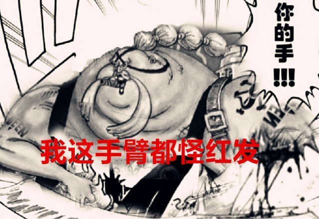 奎因|海贼王1024话解读奎因断臂也是红发所为基德将成下一个白胡子