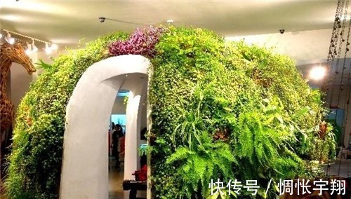 毕业|王昱珩清华毕业不上班，养个女儿不上学，把生活过成想要的样子