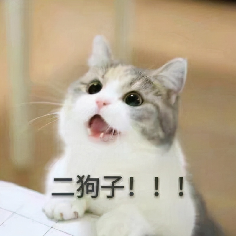 |幽默段子：今天第一次和男神约会