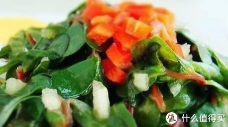 马齿笕|夏天的宝，农民的草马齿苋