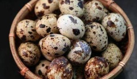 美容|会吃的人最健康，三种食物不可少，美容养生，好吃又长寿！