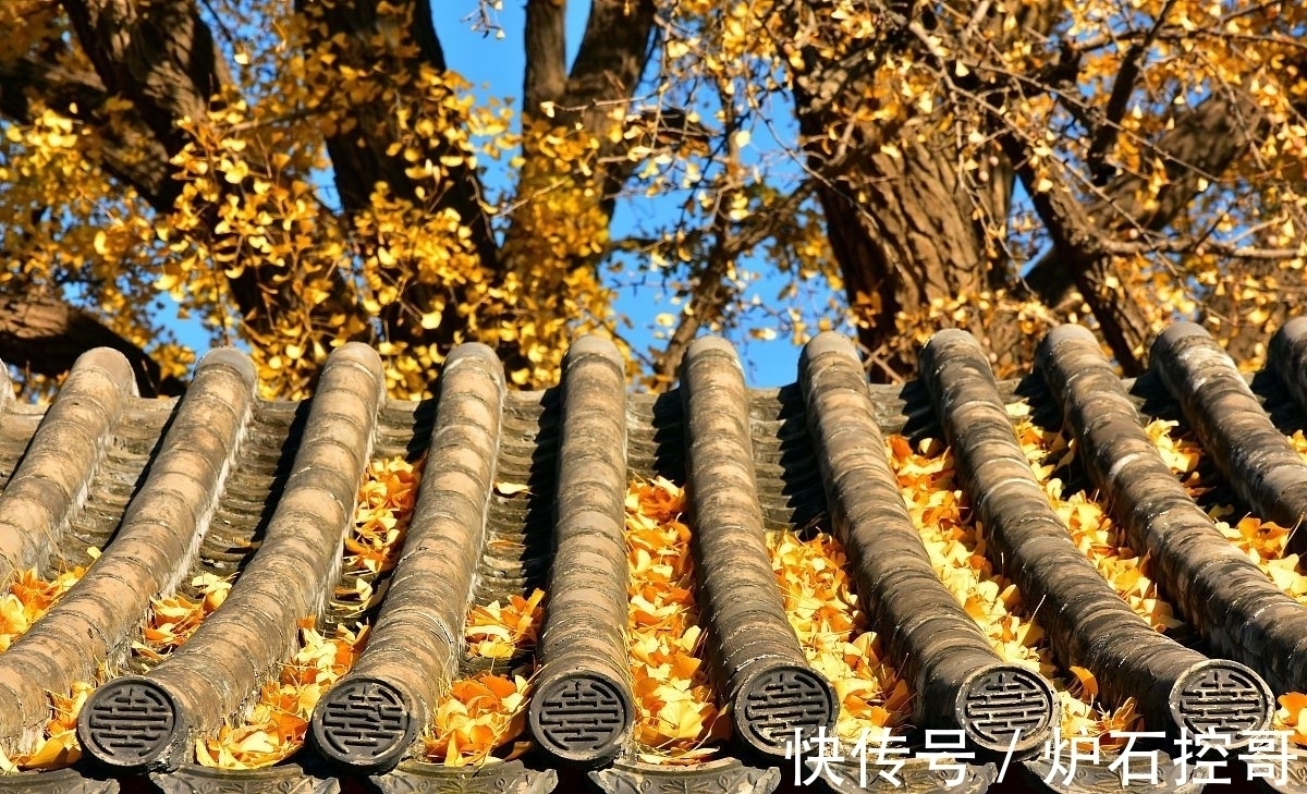 词人$诗词丨宋词的秋,惊艳四季:澄江似练,翠峰如簇,归帆去棹残阳里