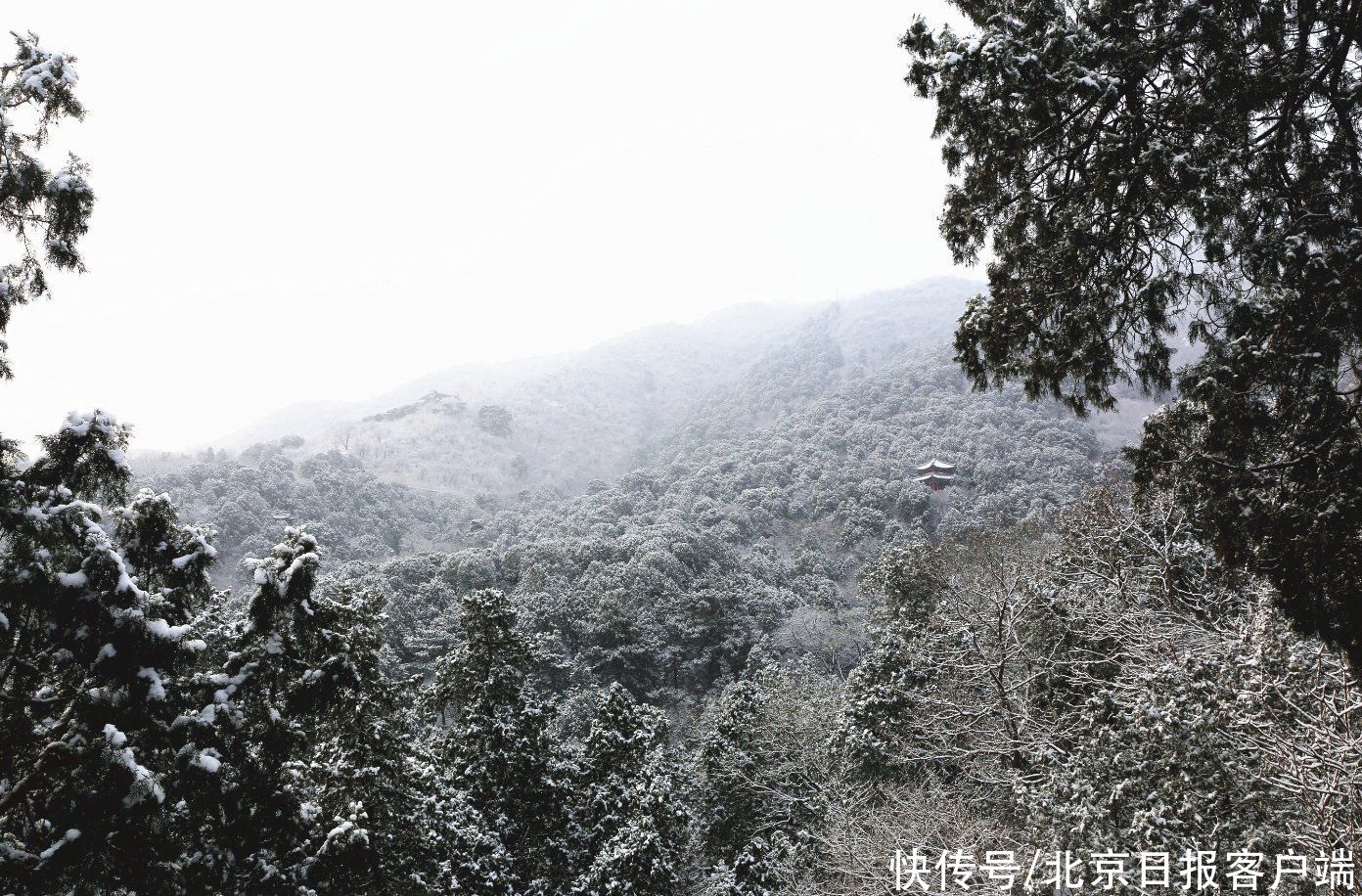 香山看雪，分外妖娆|美图 | a305