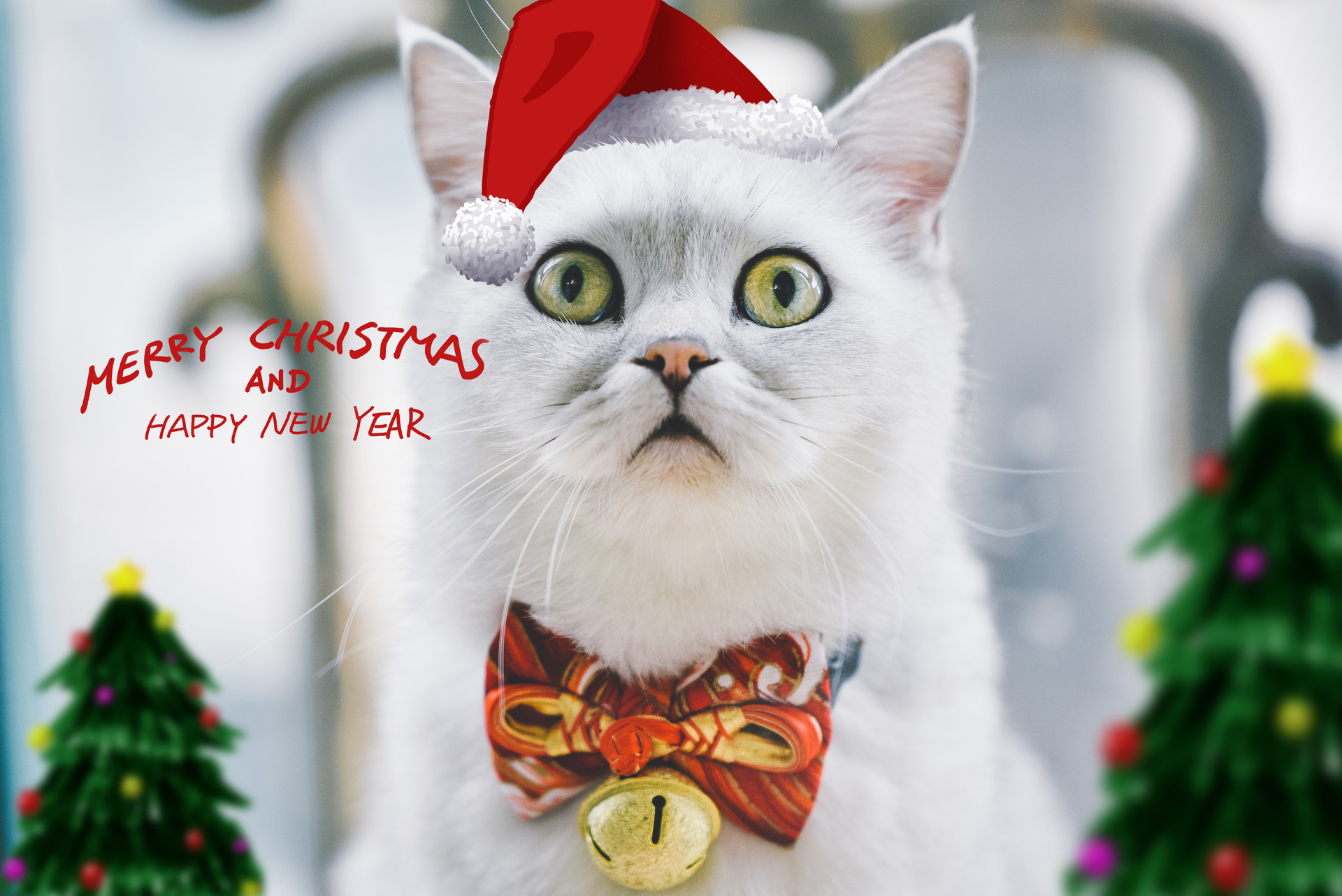 圣诞手机图,发给朋友吧!好看的祝福,还可以当屏保呦! ???