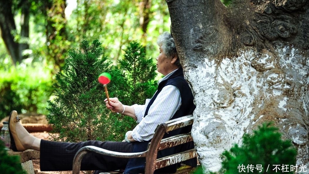 人脑|瑞典老年痴呆测试：图中藏有几只鹿？你能找到几只？我只找到5个