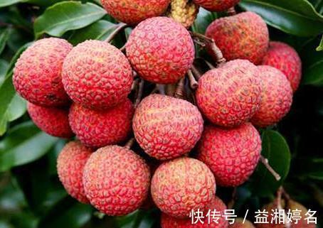 糖友|糖尿病人能不能吃水果为你列举6种不能吃,9种能吃