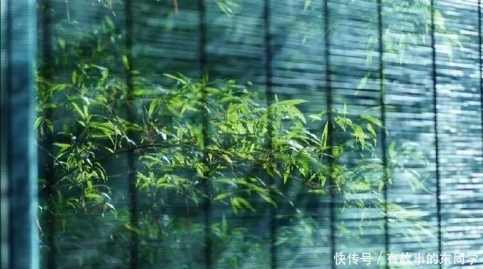 懂得|庄子:活明白的人,都懂得这十句话