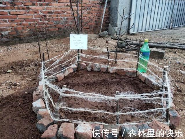 |男朋友:我太难了 冷段子1381 & 去年今日1071