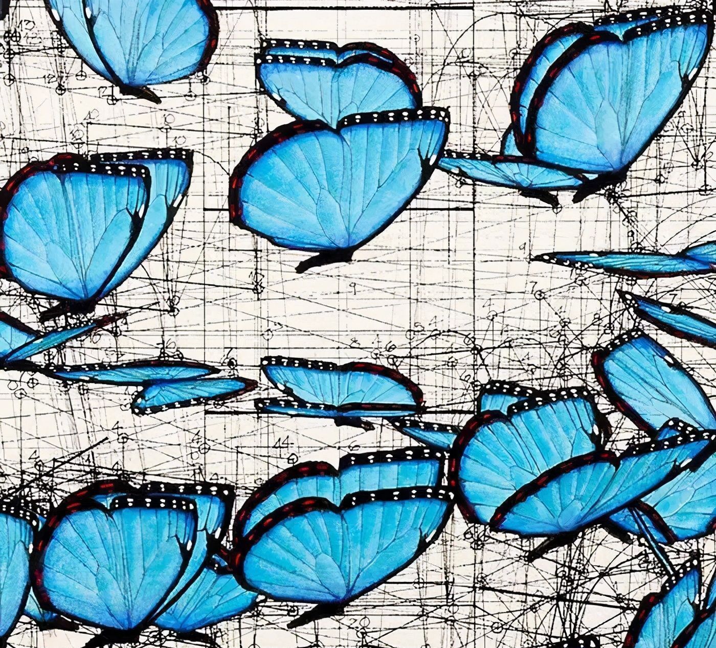 黄金比例!理工男花40年时间,用圆规画1000张画,黄金比例的拥护者