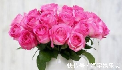 养花|新手养花，不如养盆花中精品“糖果雪山”，甜蜜如糖果，粉粉可爱