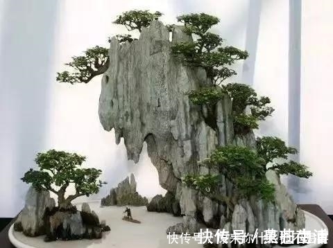 盆景|世界上又一奢侈品《盆栽》一盆就是一座房子!