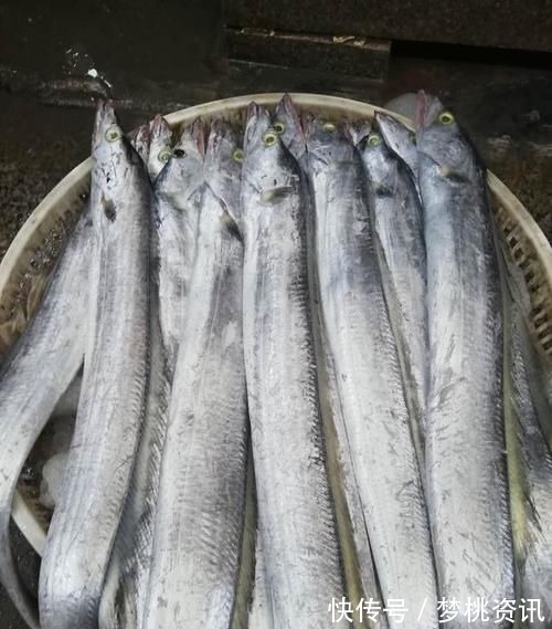 甲醛|这4种鱼，肉里或含有重金属和甲醛，生活中不宜经常吃，建议了解