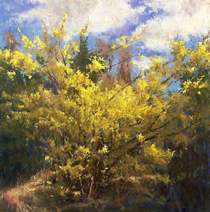 美国#美国艺术家阿奎尔柔和的风景油画,画里充满了阳光温馨美好