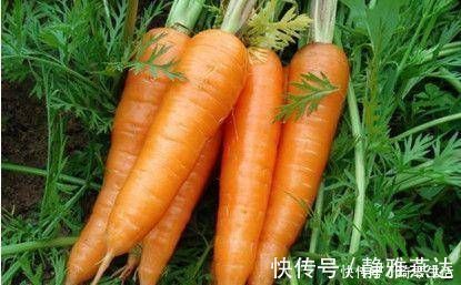 蔬菜|常吃此几类水果蔬菜,有效加强记忆,改善睡眠,爱吃的人有福了!