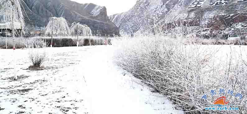 时节|肃南：大雪时节现雾凇冰花美景