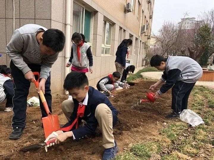 杨慧慧|山东师大附小雅居园校区：博雅德育稳步行 累累硕果醉人香